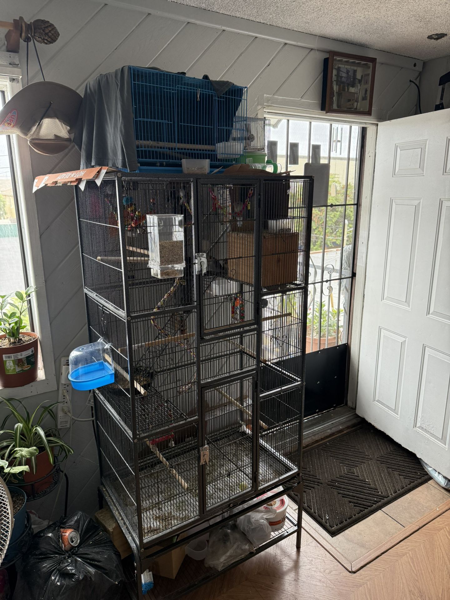 Bird Cage
