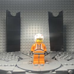 Luke Skywalker 20th Anniversary (firm price)