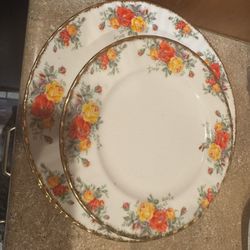 Pacific Rose Royal Albert bone China