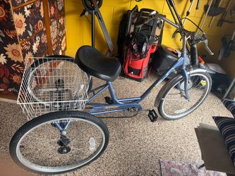 Adult Tricycle with Rear Wire Basket