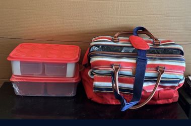 Artic zone cooler with storage bins