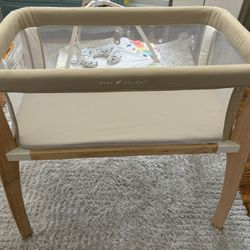 Baby Delight Bassinet 