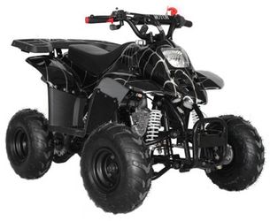 Hawk 110cc ATVs on sale