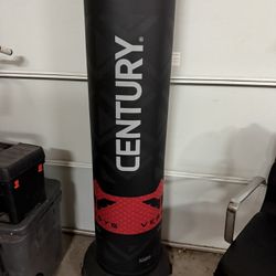 Century Versus Punching Bag