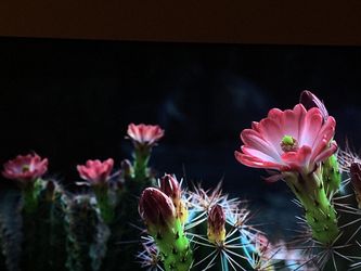 Incredible Samsung 82” QLED Q7 Series !