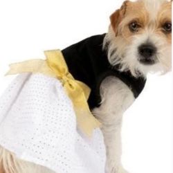 Party Dog Dress New Years & Halloween Size X-Large17”-20” NEW