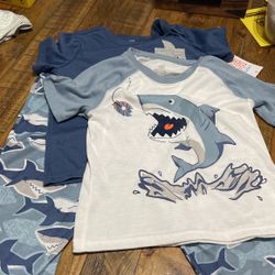 Baby Boy 5t Pj