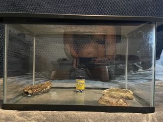 Reptile Enclosure/ 10gallon Fish Tank