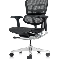 Brand New Black Ergohuman All Mesh Tall Back Ergonomic Office Chair w/Adjustable Arms & Backrest
