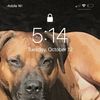 Gamedawg32