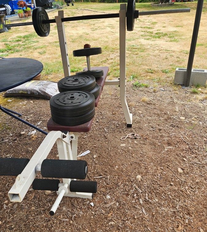Weight Bench