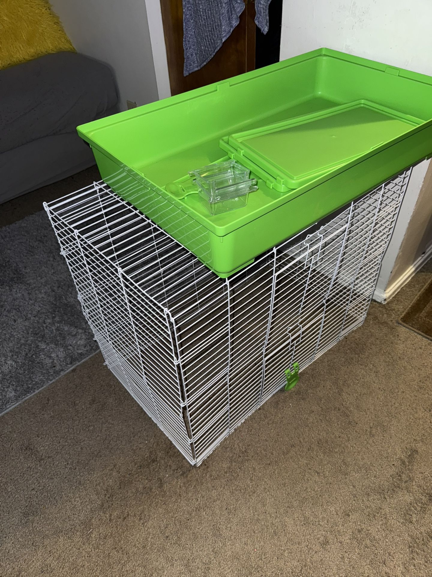 New kaytee ferret cage