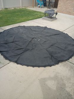 Tarp