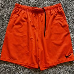 Nike Shorts Size 2xl