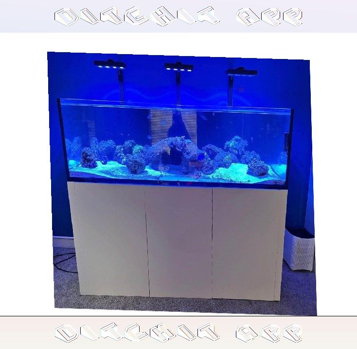 Large Aquarium Tank - Roomy & Beautiful card leave