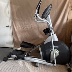 Horizon Fitness E1100GS Elliptical Machine
