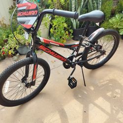 Schwinn 20 Inch Bike for sale