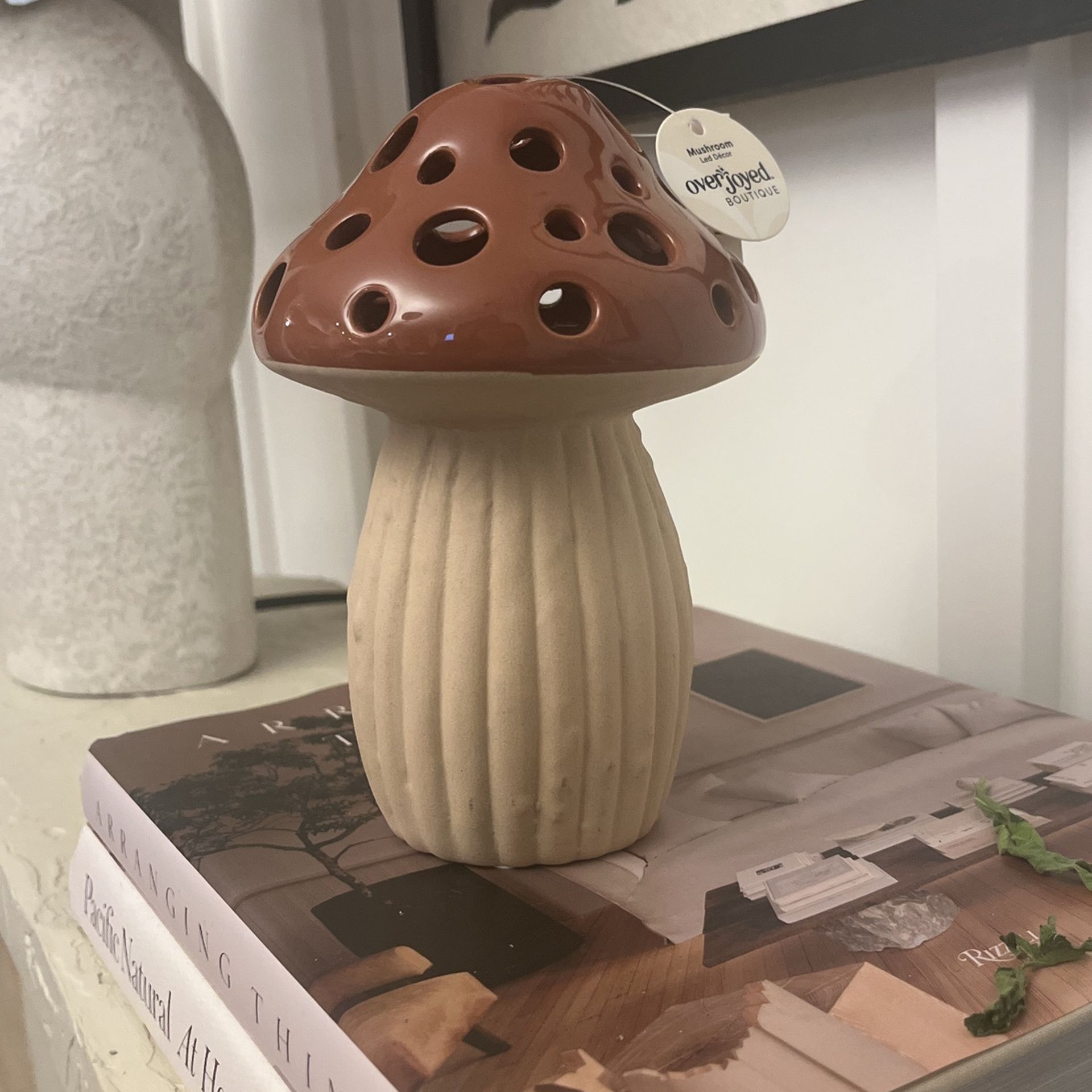 Mushroom Light