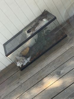 Reptile tank