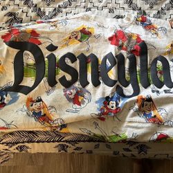Disney Spirit Jersey 