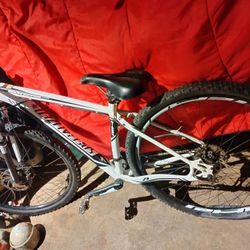 Specialized Rock Hopper Bike