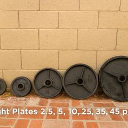 255 lb Deep Dish Weight Plate Set 🏋️