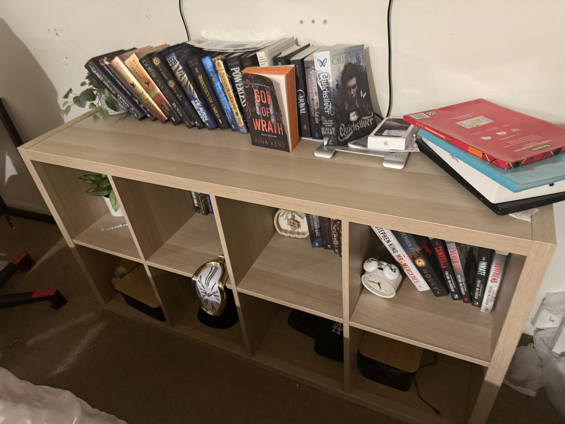 Bookshelf / Storage Furniture
