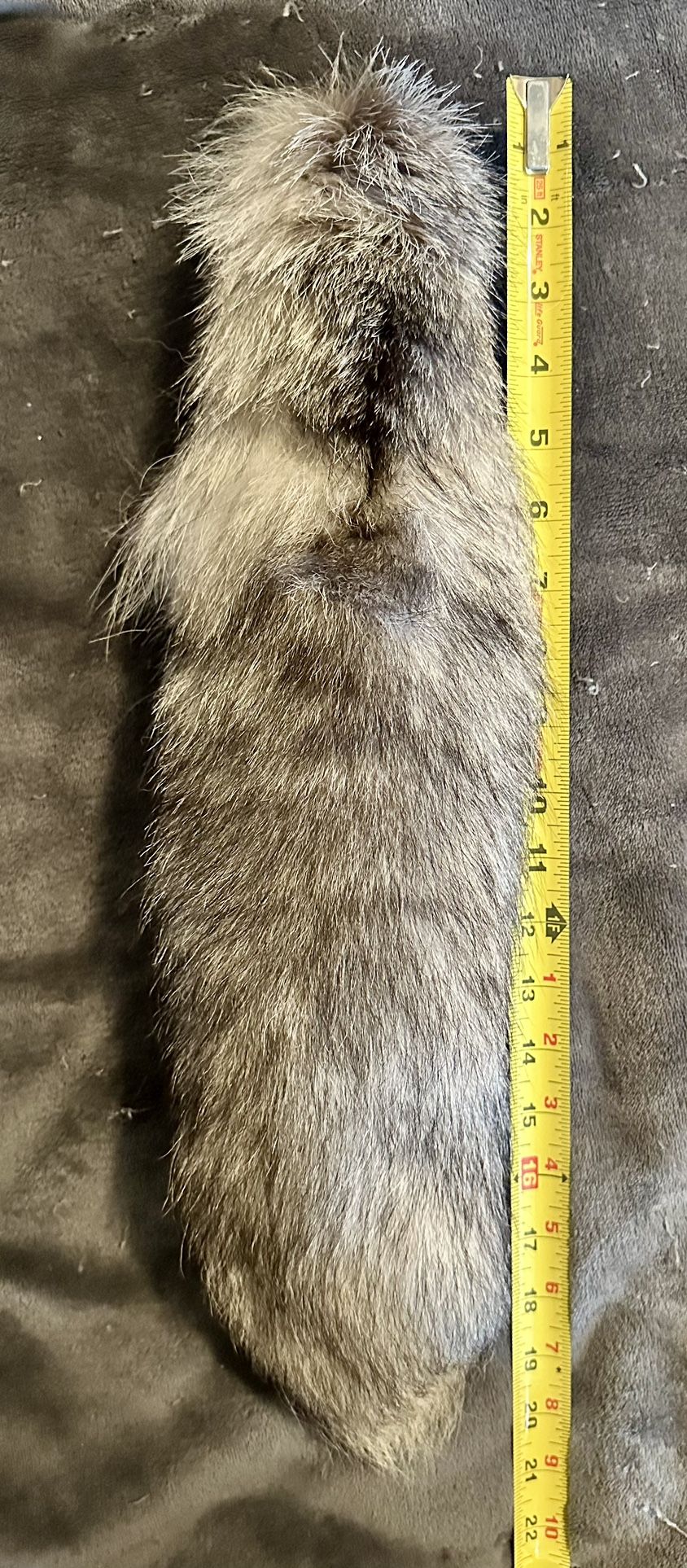Silver Fox Tail