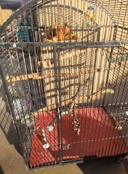 Large Bird Cage 
