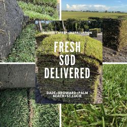 Fresh Sod