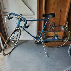 Schwinn  Varsity Bike