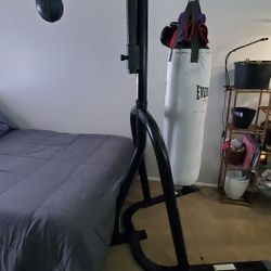 Everlast Punching Bag And Stand