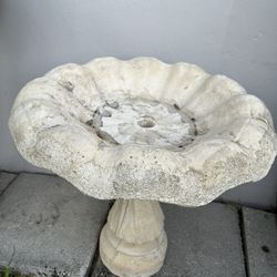 Fountain-Birdbath Shell Design 2 Piece 18" Tall
