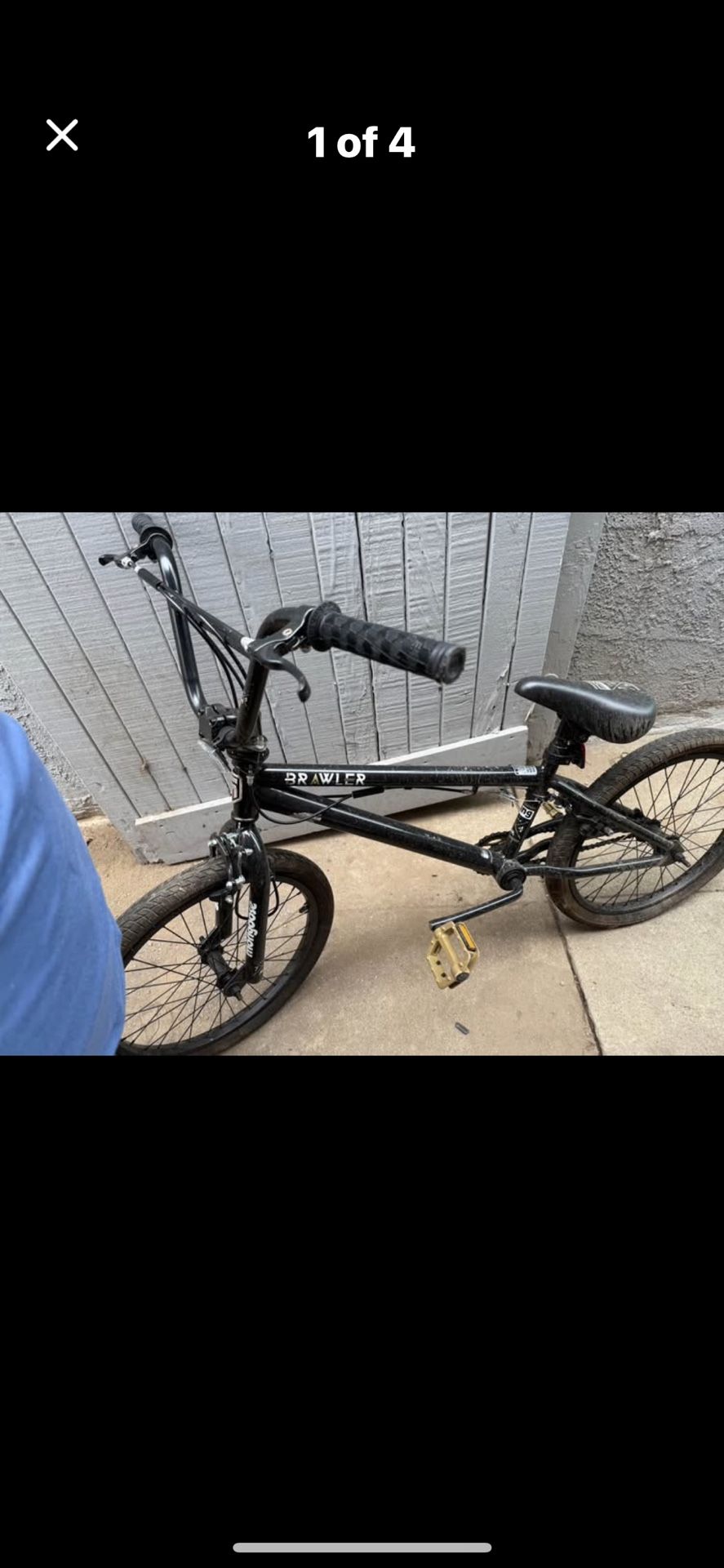 Mongoose Brawler Bike 