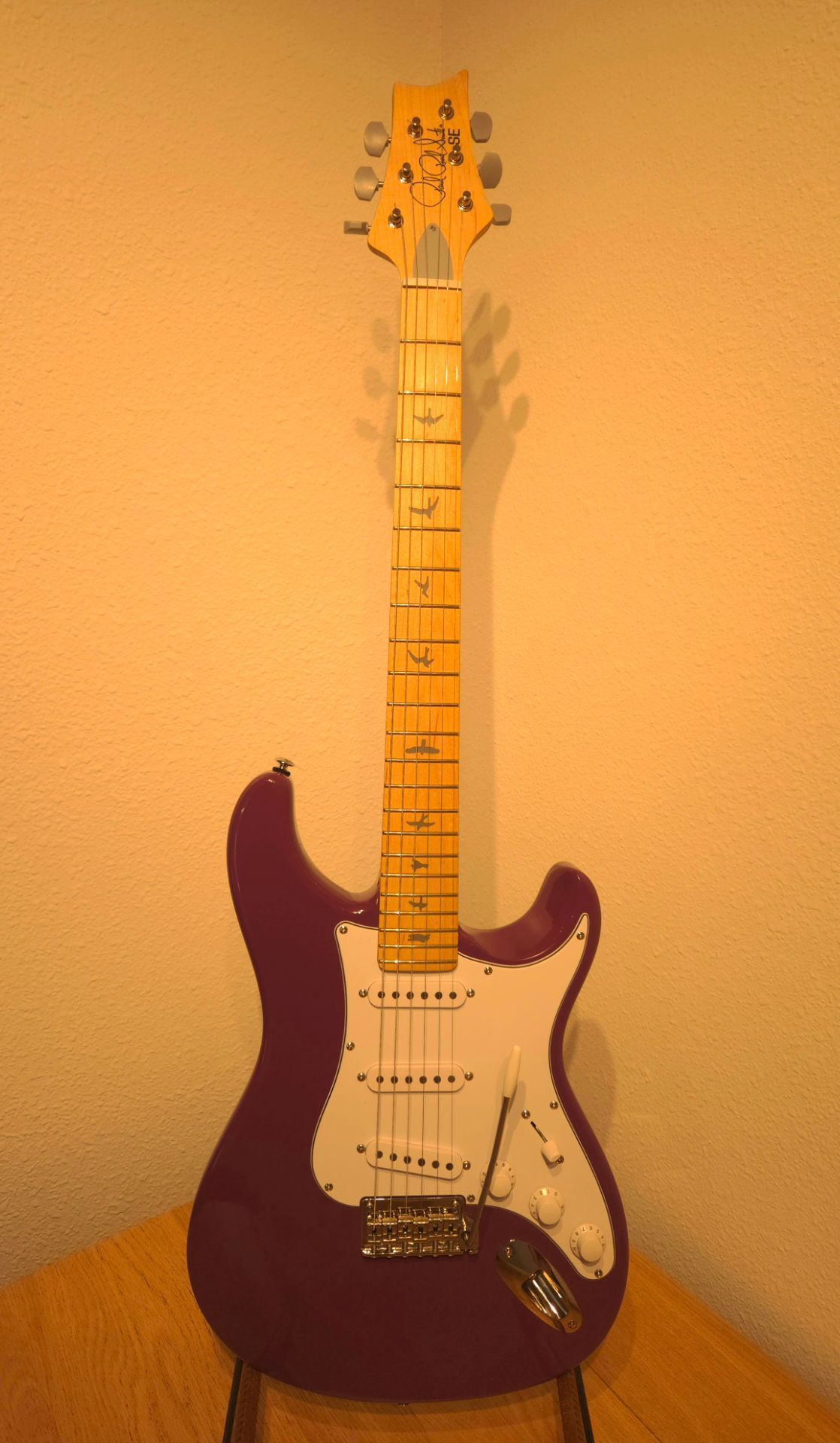 PRS SE Silver Sky guitar - Summit Purple
