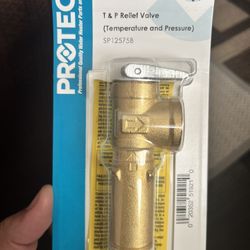 Rheem Temp/Pressure Relief Valve