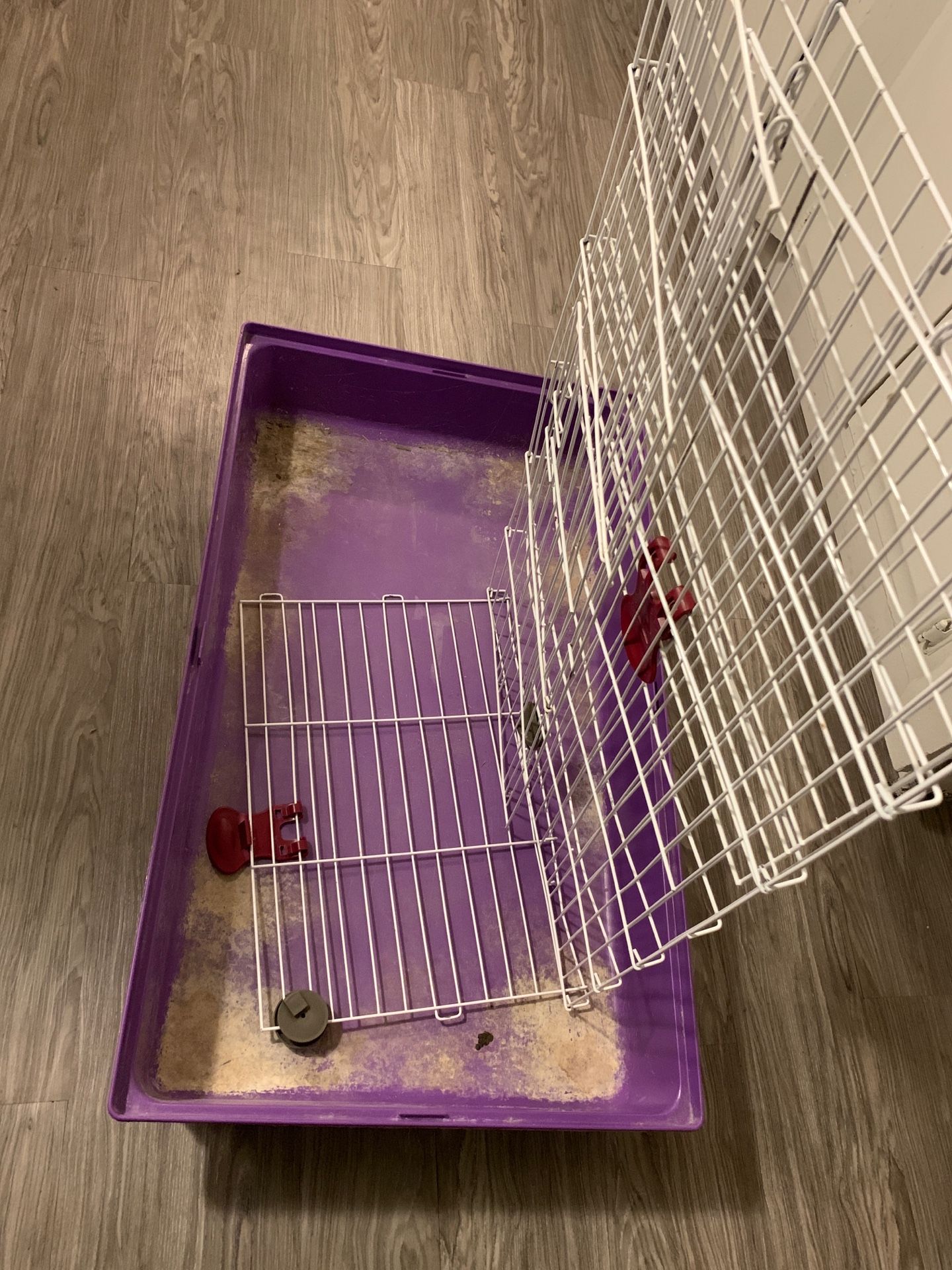 Small Animal Cage/Kaytee Rabbit for Sale in Los Angeles, CA OfferUp