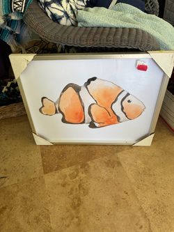 Clown fish picture
