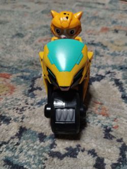 Paw patrol cat
