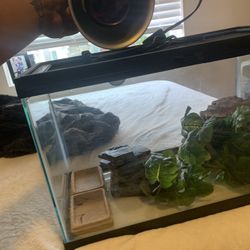 Tank For Small Reptile 