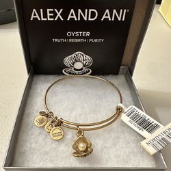 New In Box Alex And Ani Charm Bangle Bracelets