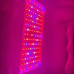 LED Grow Light 