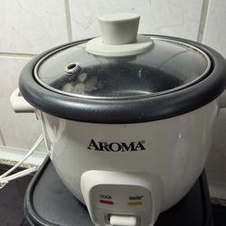 Rice Steamer/Maker