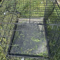 Dog Crate