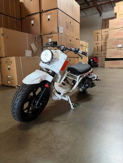 Maddog 50cc Scooter | Brand New | | Automatic 14" Rims