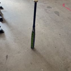 Little League Baseball Bat