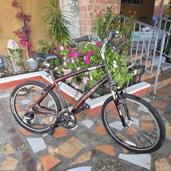 Trek Navigator 2.0 Mountain Bike 21-Speed 