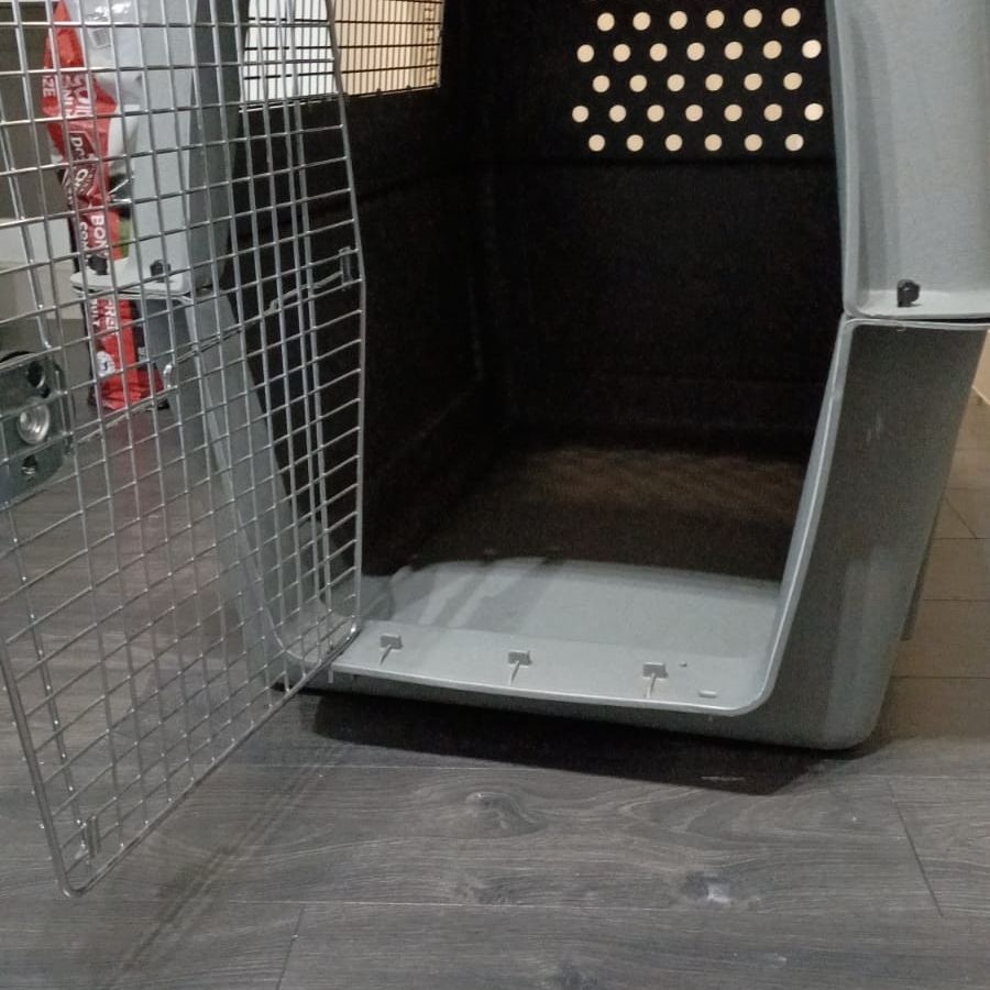 Kennel O Jaula De Transporte.