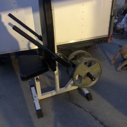 TRICEP CHEST SEATED DIP NO WEIGHTS