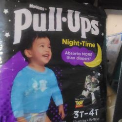 Pull Ups 3t-4t Nighttime 